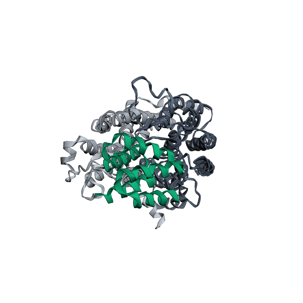 Designed helical bridging bundle (green) clamping the full SLC15A4 transporter, with N-terminal (light) and C-terminal (dark) bundles