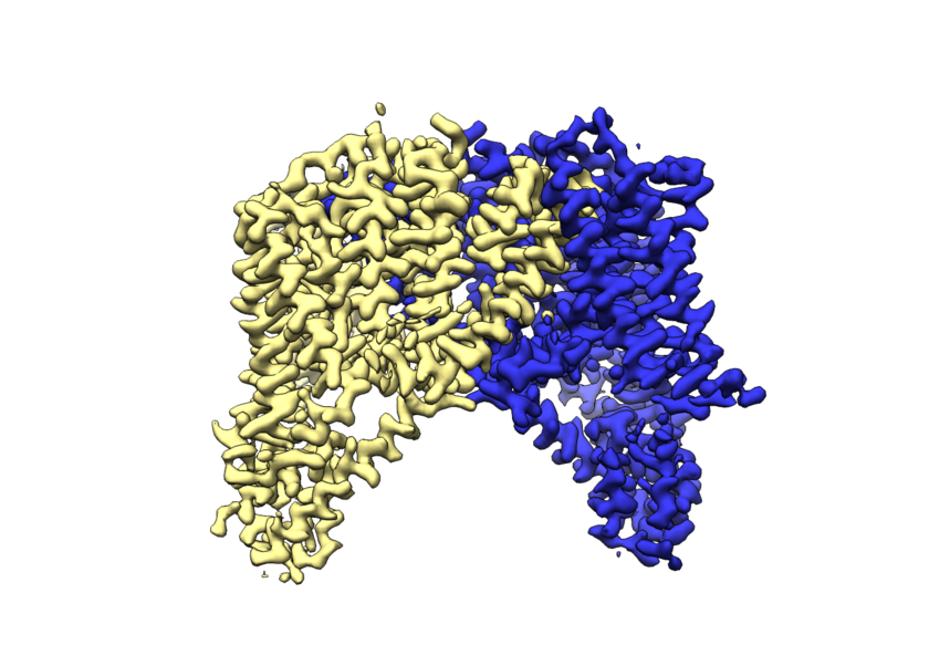 Membrane protein structure in a lipid bilayer
