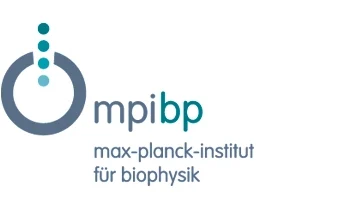 Max Planck Institute of Biophysics, Frankfurt