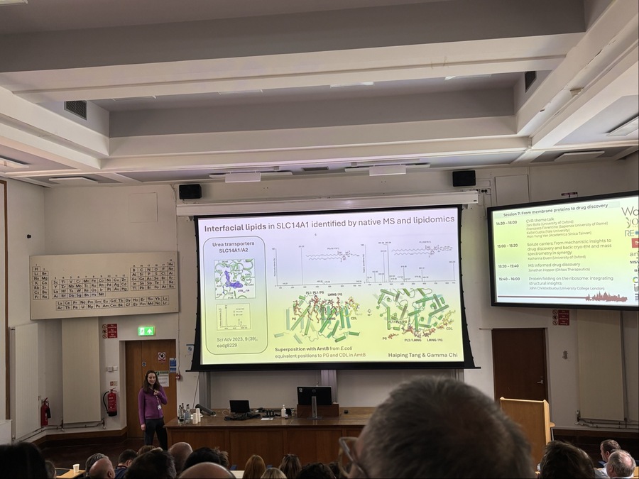 Katharina presenting interfacial lipids in SLC14A1 by native MS at the Celebration of Carol Robinson and Native Mass Spectrometry, Oxford 2026