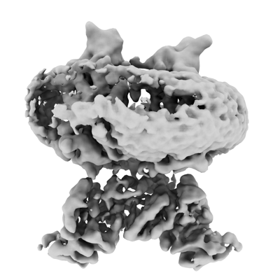 EMD-50364 cryo-EM map