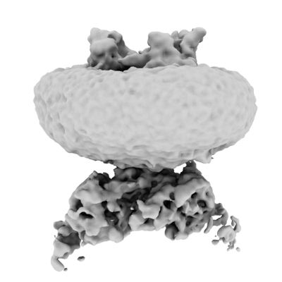 EMD-50405 cryo-EM map