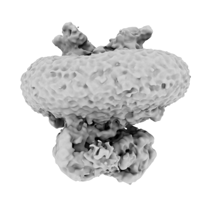 EMD-50406 cryo-EM map