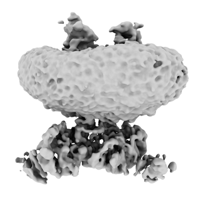 EMD-50407 cryo-EM map